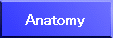 Anatomy