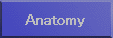 Anatomy