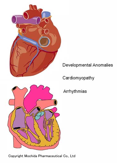 clk_heart.jpg (32037 �o�C�g)