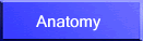 Anatomy
