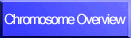 Chromosome Overview